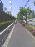 nishi03.jpg