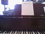 tsukipiano.jpg