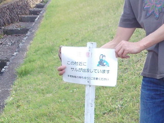yama02.jpg